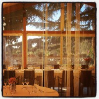 /album/fotogaleria-carpa/foto32-jpg1/