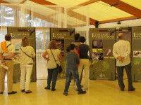 /album/fotogaleria-excavaciones-romanas/img-5786-jpg/