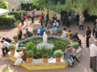 /album/fotogaleria-patio/img-5818-jpg/